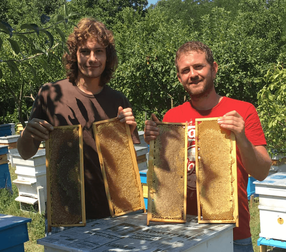 beekeepers asen and geroge are holding an extracted honeycomb