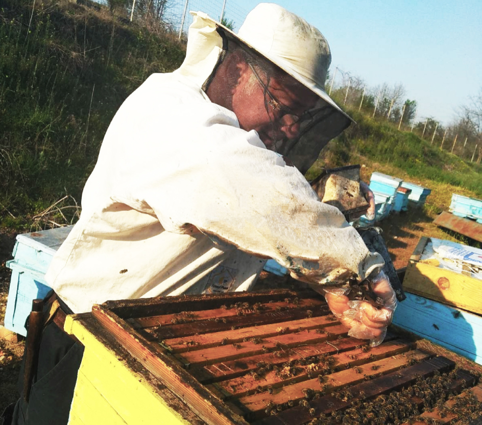 beekeeper anton stefanov take care for his hives