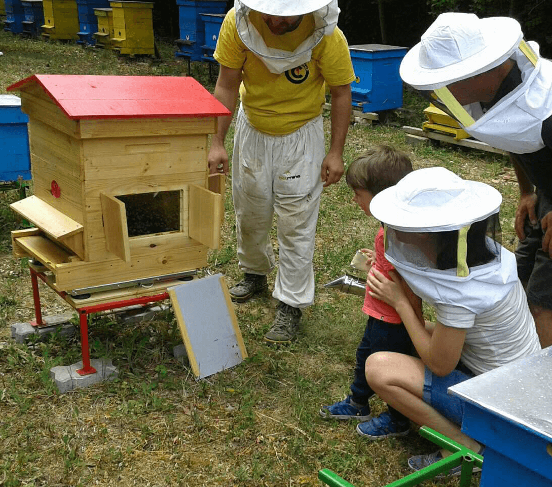 beekeeper Dimitar Dimitrov with visitors in his apiary