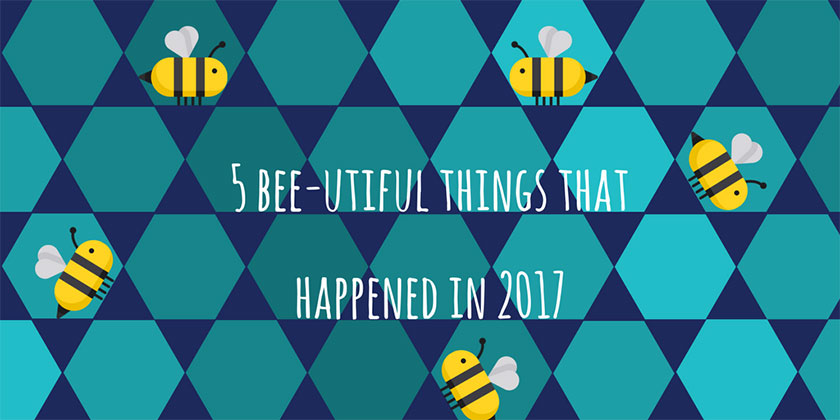 5 bee-utiful things that happened in 2017 cover animated image with bees
