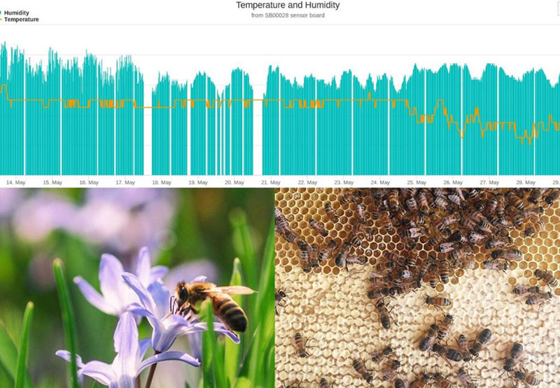 smart hive monitoring technology